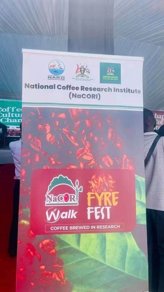 WALK coffee banner